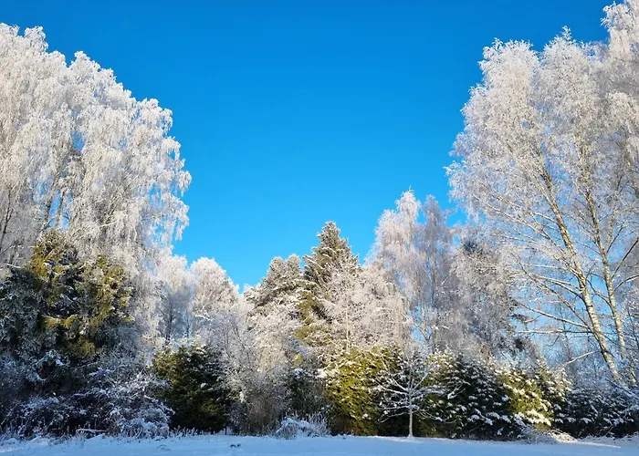 Gasthof Nad Dymnem 3*